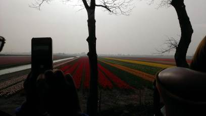 Keukenhof with Joani, Barbara and Mary