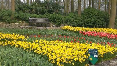 Keukenhof with Joani, Barbara and Mary