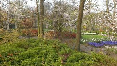 Keukenhof with Joani, Barbara and Mary
