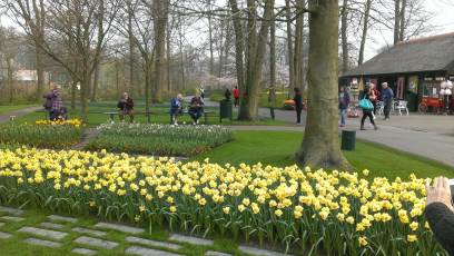 Keukenhof with Joani, Barbara and Mary