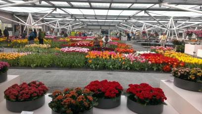 Keukenhof with Joani, Barbara and Mary