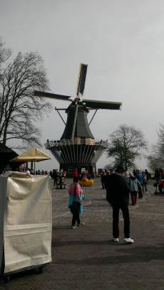 Keukenhof with Joani, Barbara and Mary