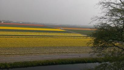 Keukenhof with Joani, Barbara and Mary