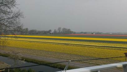 Keukenhof with Joani, Barbara and Mary