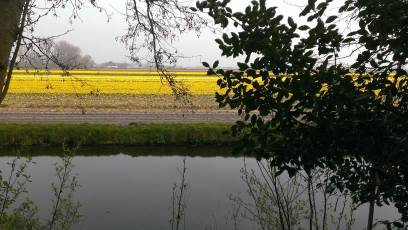 Keukenhof with Joani, Barbara and Mary