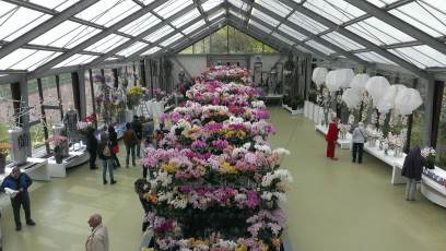 Keukenhof with Joani, Barbara and Mary