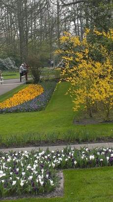 Keukenhof with Joani, Barbara and Mary
