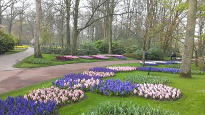 Keukenhof with Joani, Barbara and Mary