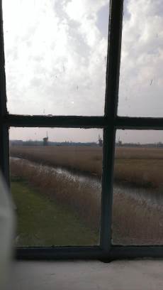 Kinderdijk with Joani, Barbara and Mary
