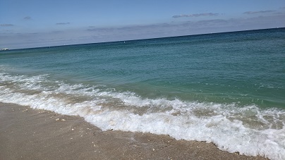 Florida Ocean