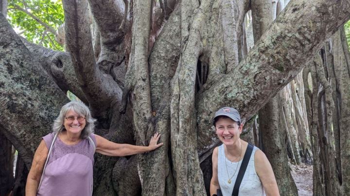  Margaret and Toni by the Banyon Tree 